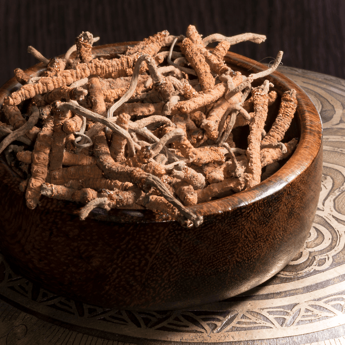 Cordyceps Happiness Tea