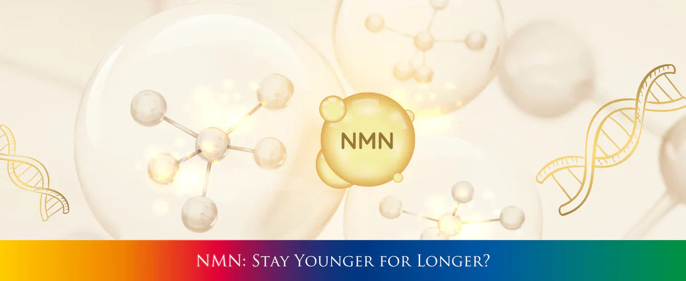 NMN: Stay Younger for Longer?