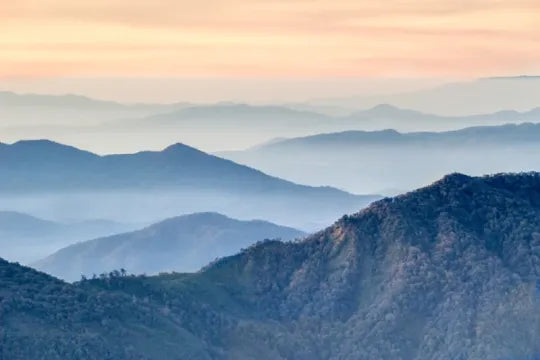 Cura Selects : Relaxation Retreat (5D4N)