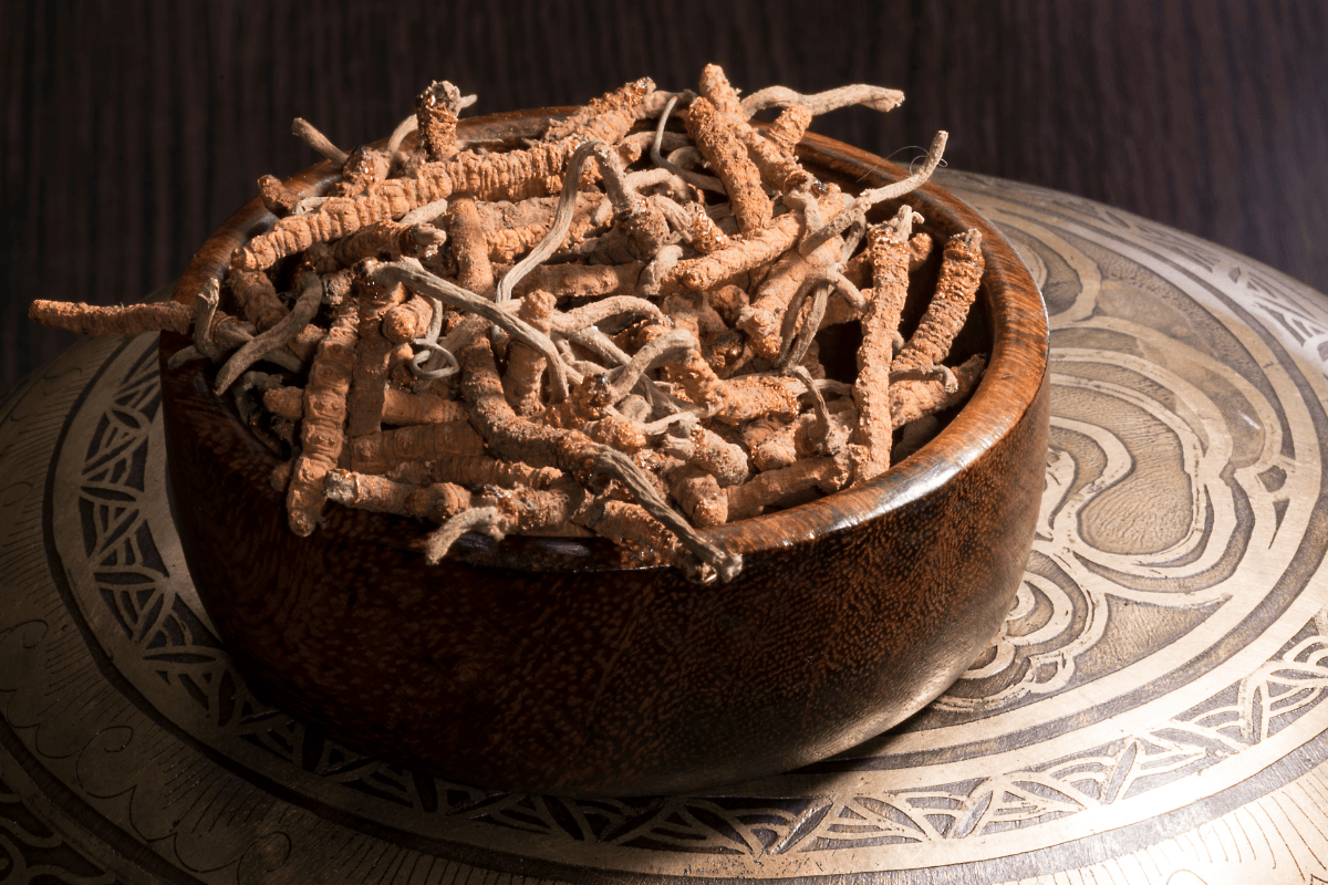Cordyceps Happiness Tea