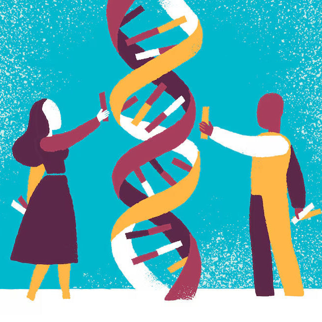 Inheriting More Than Grandma’s Sofa: The Science of Epigenetics