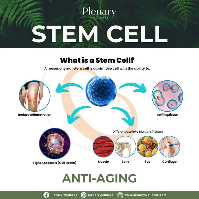 Plenary Longevity Wellness x Cura Selects - Stem Cell Retreat (5D 4N)