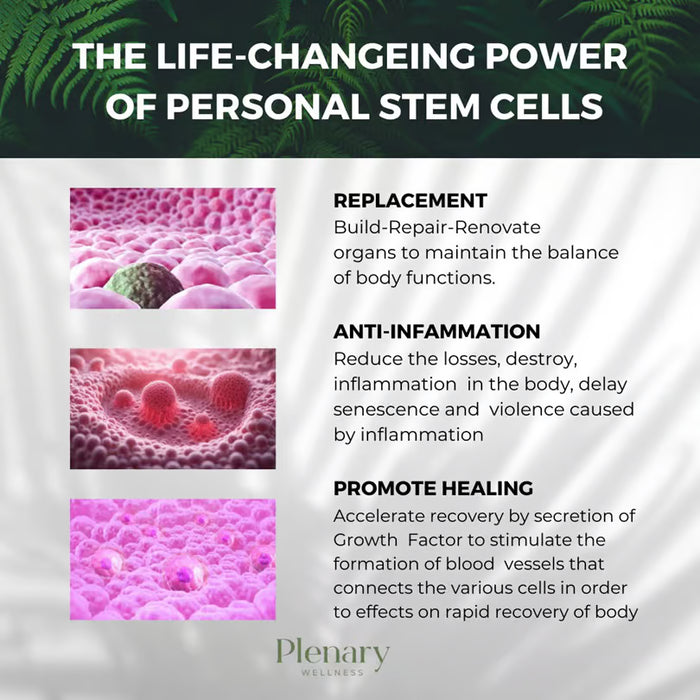 Plenary Longevity Wellness x Cura Selects - Stem Cell Retreat (5D 4N)