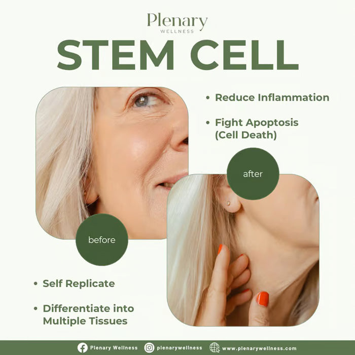 Plenary Longevity Wellness x Cura Selects - Stem Cell Retreat (5D 4N)