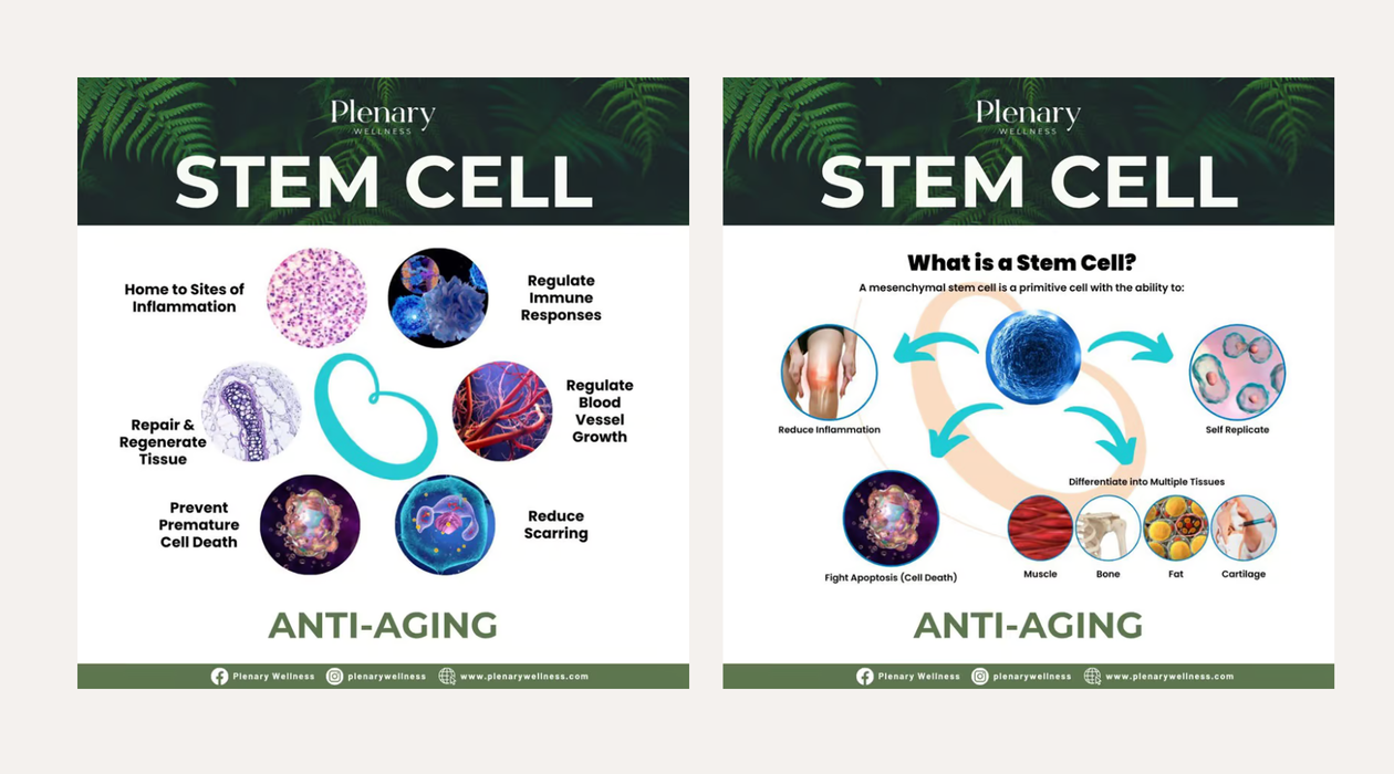 Plenary Longevity Wellness x Cura Selects - Stem Cell Retreat (5D 4N)