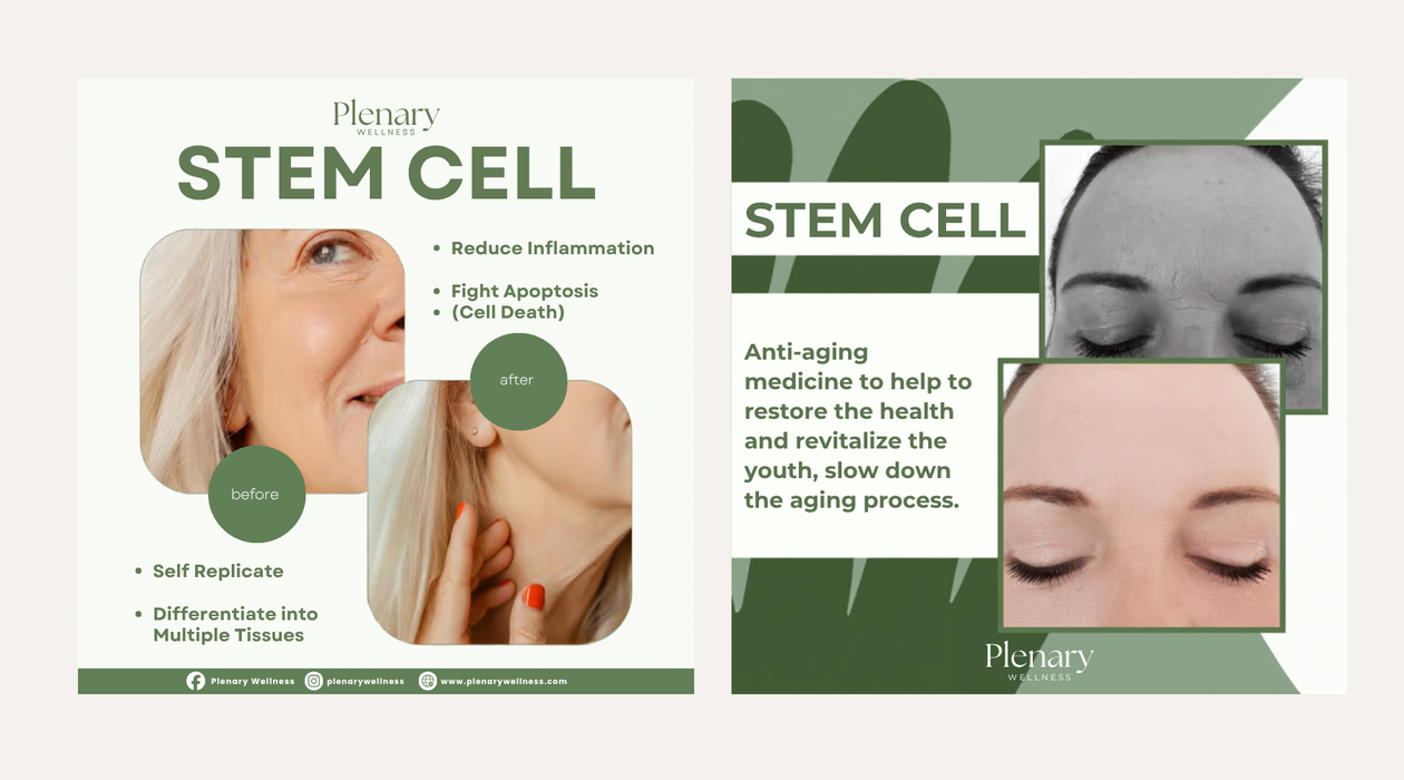 Plenary Longevity Wellness x Cura Selects - Stem Cell Retreat (5D 4N)
