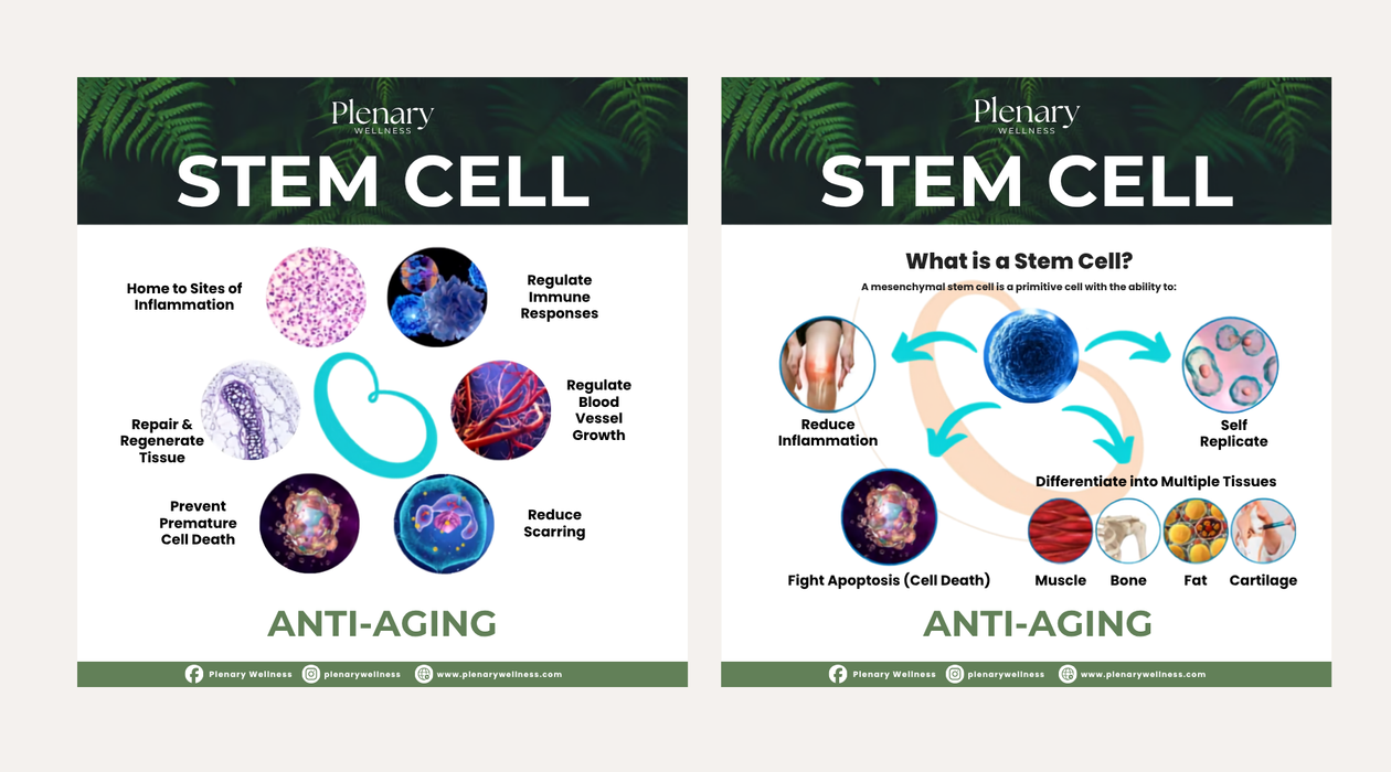 Plenary Longevity Wellness x Cura Selects - Stem Cell Retreat (5D 4N)