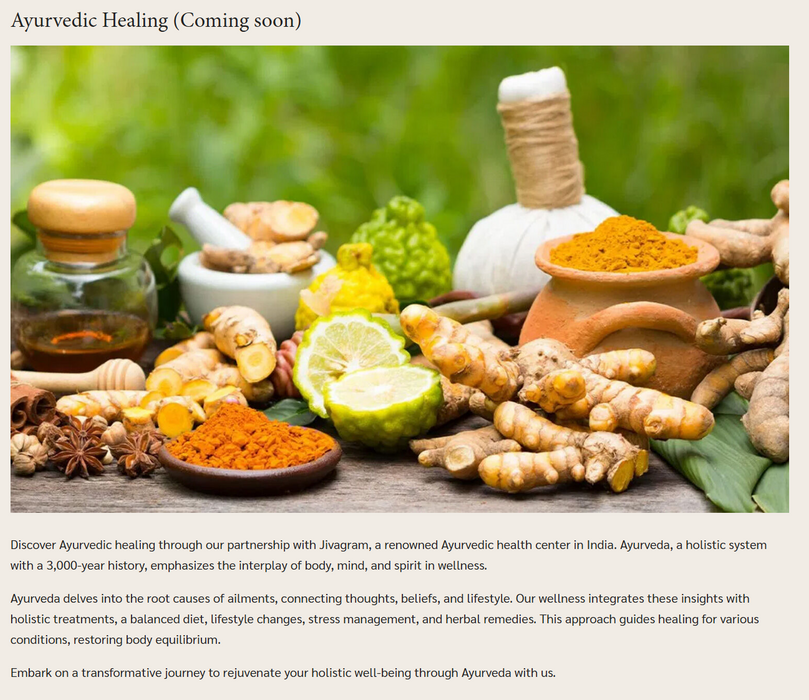 Vital Reset Program (iRetreat)